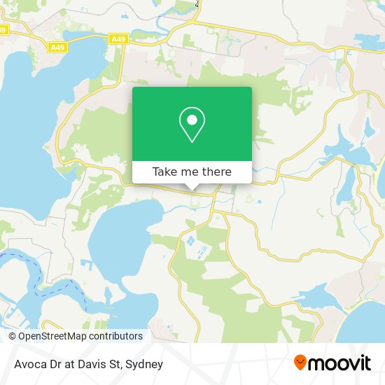 Avoca Dr at Davis St map