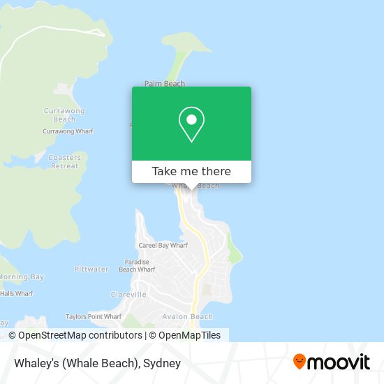 Whaley's (Whale Beach) map