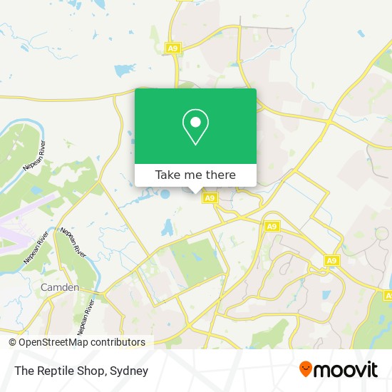 nearest reptile shop