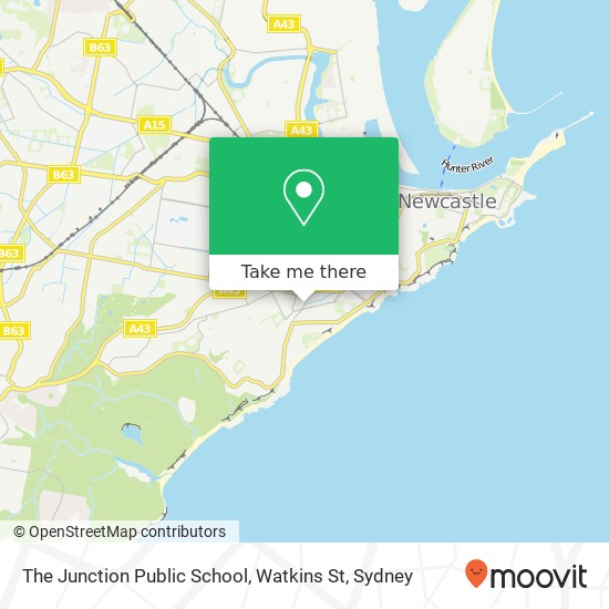 The Junction Public School, Watkins St map