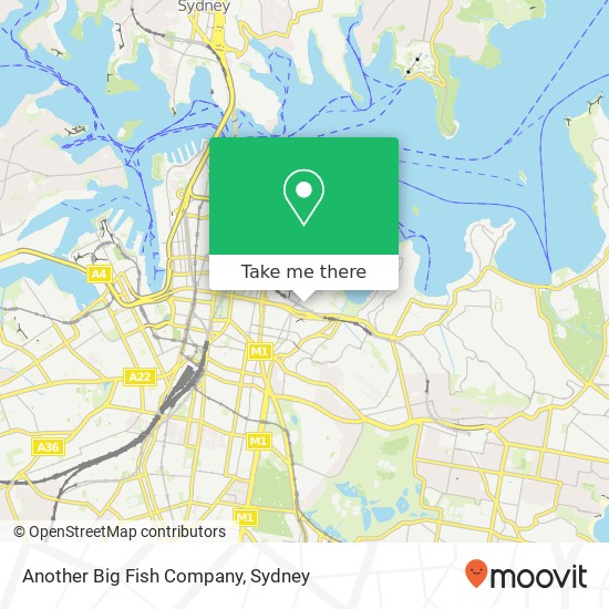 Mapa Another Big Fish Company