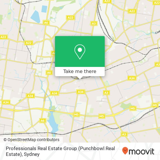 Professionals Real Estate Group (Punchbowl Real Estate) map