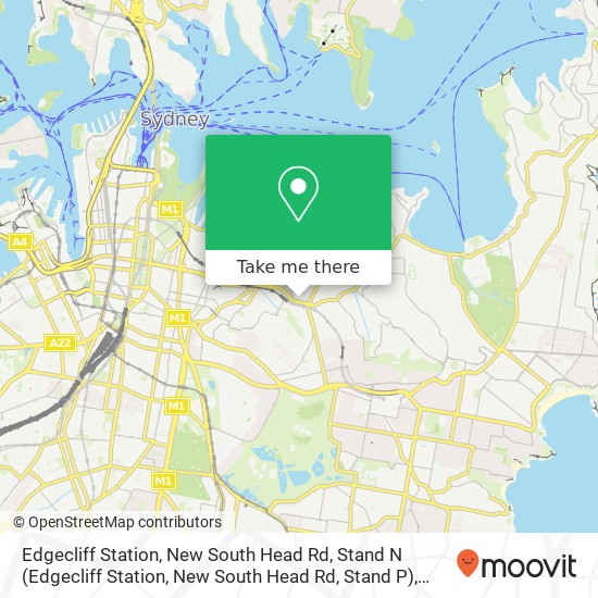 Edgecliff Station, New South Head Rd, Stand N map