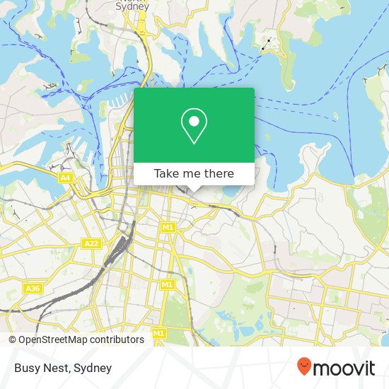Busy Nest map