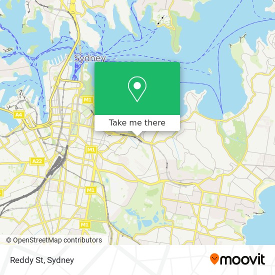 Reddy St map