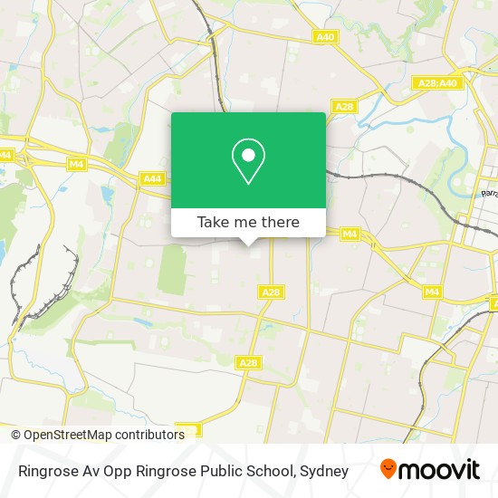 Ringrose Av Opp Ringrose Public School map