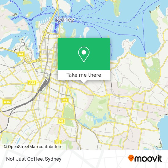 Not Just Coffee map