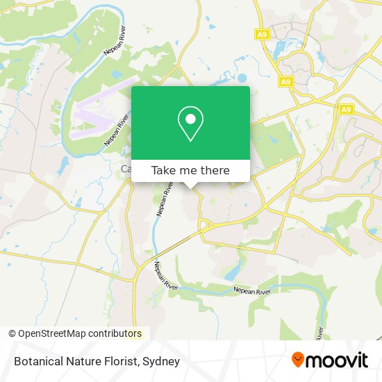 Mapa Botanical Nature Florist