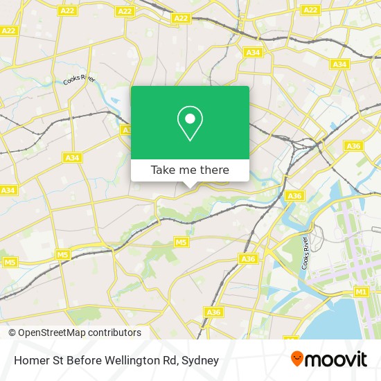 Homer St Before Wellington Rd map