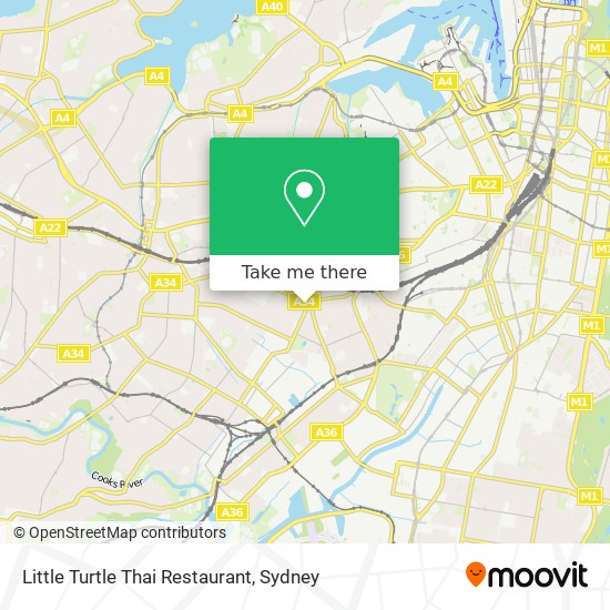 Little Turtle Thai Restaurant map