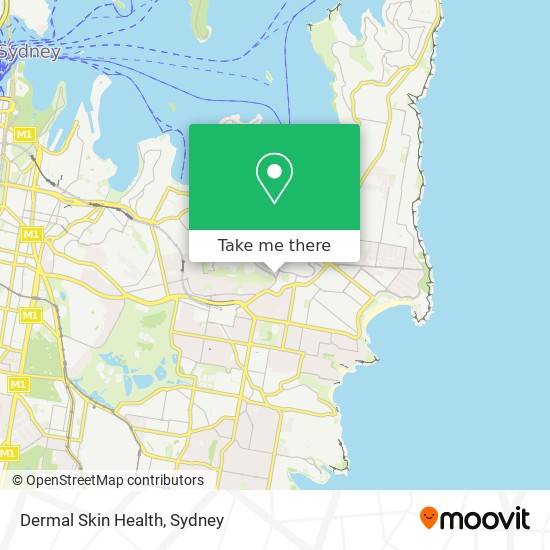 Dermal Skin Health map