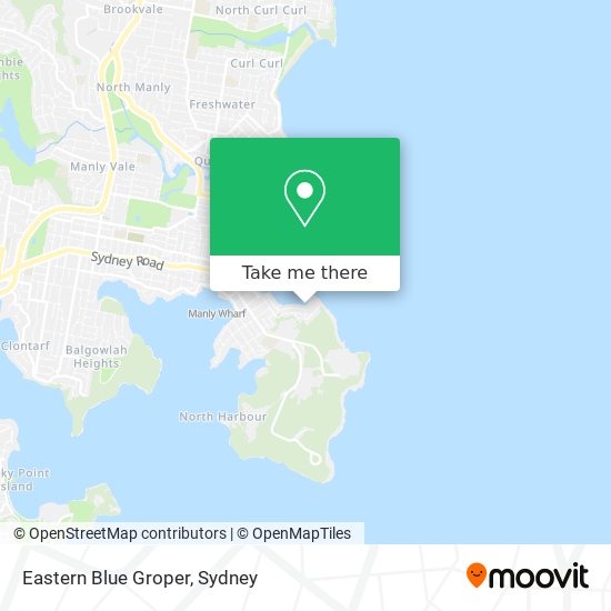 Eastern Blue Groper map