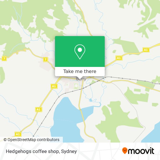 Hedgehogs coffee shop map