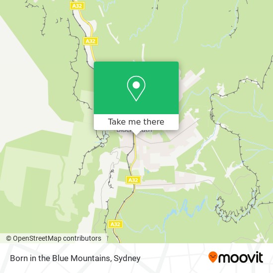 Born in the Blue Mountains map
