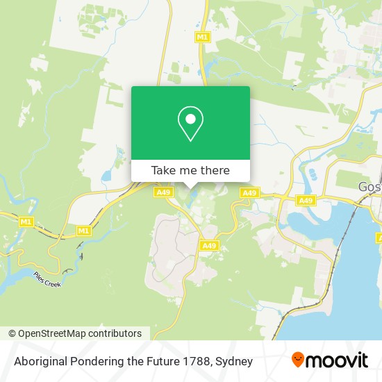 Mapa Aboriginal Pondering the Future 1788