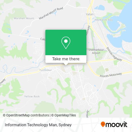 Information Technology Man map