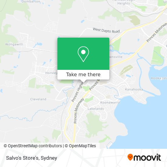 Salvo's Store's map