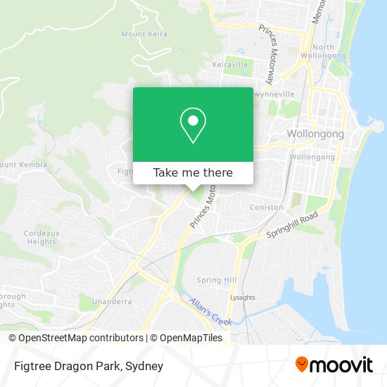 Figtree Dragon Park map