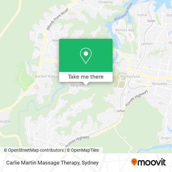 Carlie Martin Massage Therapy map