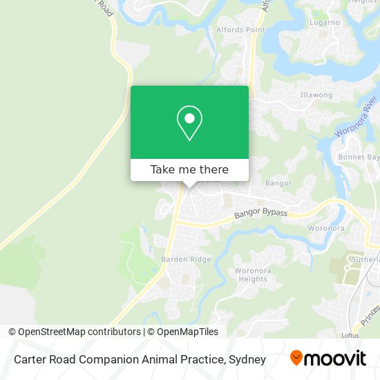 Carter Road Companion Animal Practice map