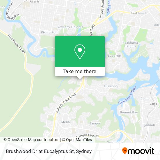 Mapa Brushwood Dr at Eucalyptus St