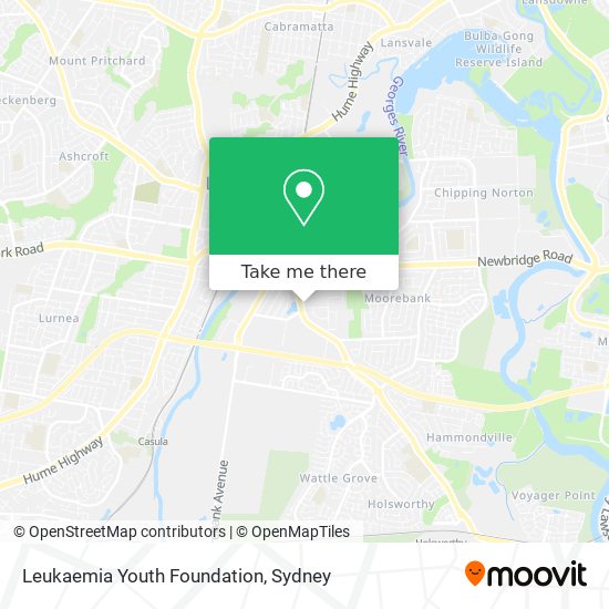 Mapa Leukaemia Youth Foundation