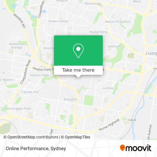 Online Performance map