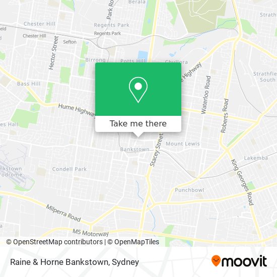 Raine & Horne Bankstown map