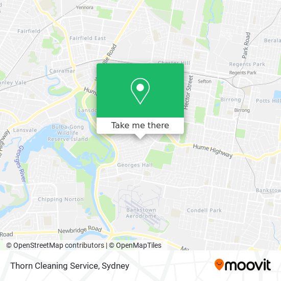 Mapa Thorn Cleaning Service