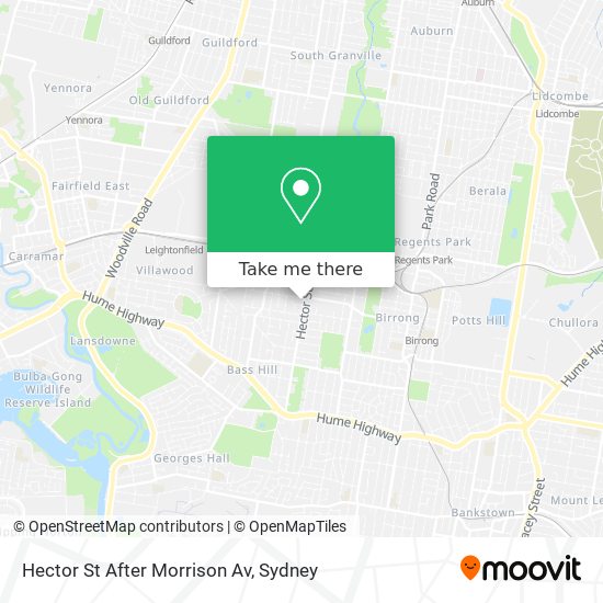 Hector St After Morrison Av map