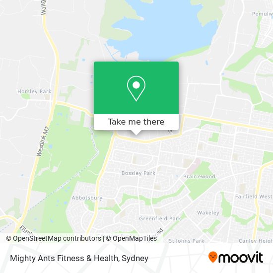 Mapa Mighty Ants Fitness & Health