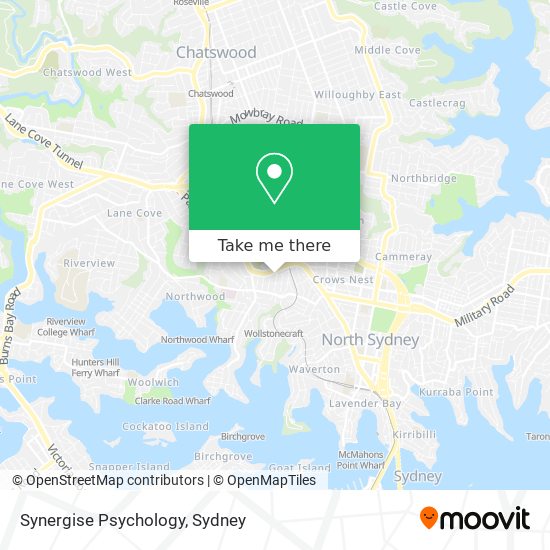 Synergise Psychology map