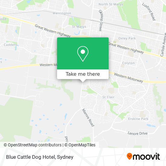 Blue Cattle Dog Hotel map