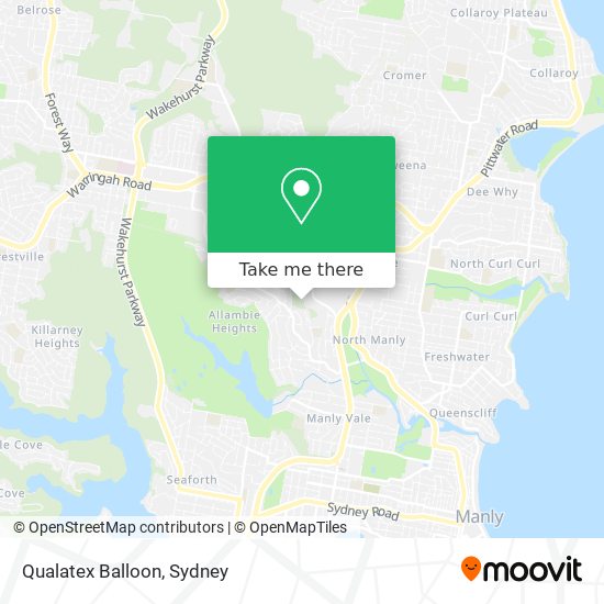 Qualatex Balloon map