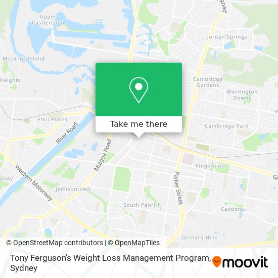 Mapa Tony Ferguson's Weight Loss Management Program