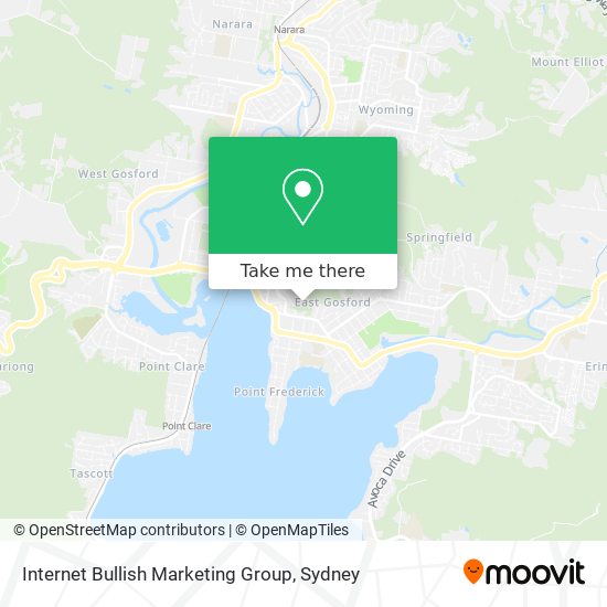 Internet Bullish Marketing Group map