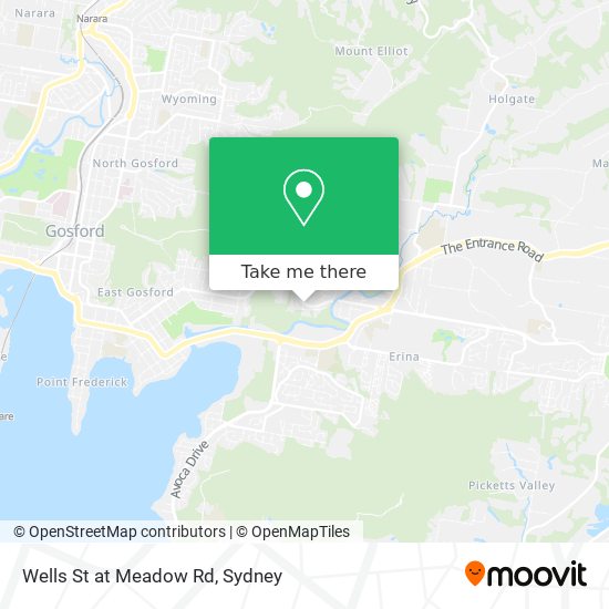 Wells St at Meadow Rd map