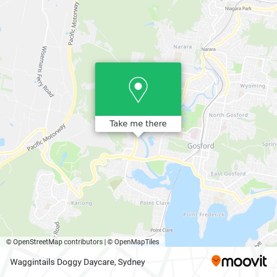 Waggintails Doggy Daycare map