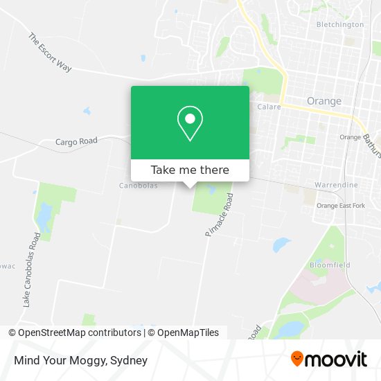Mind Your Moggy map