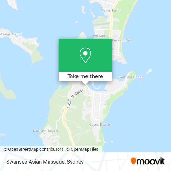 Swansea Asian Massage map