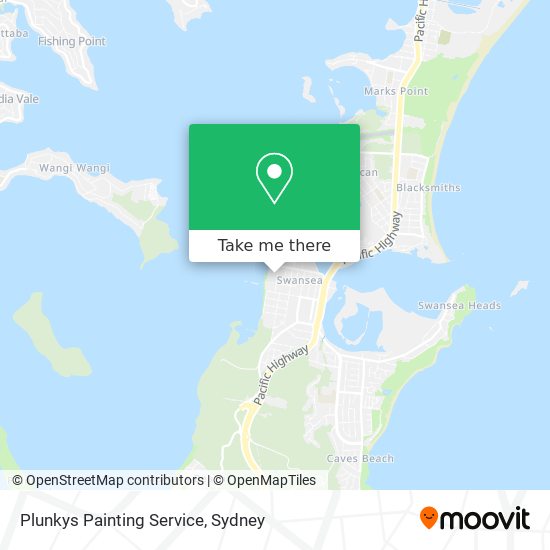 Plunkys Painting Service map