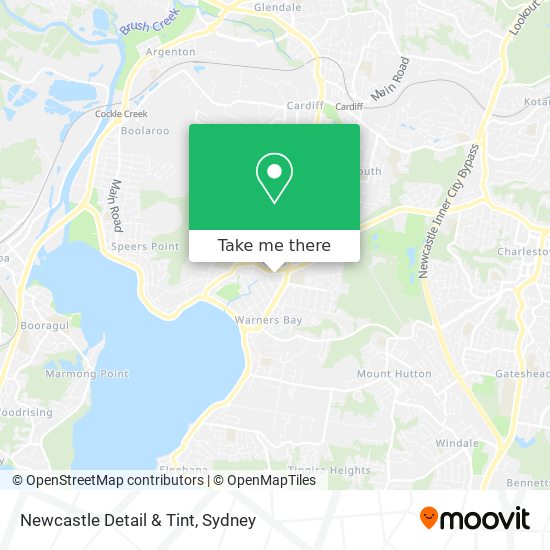 Newcastle Detail & Tint map