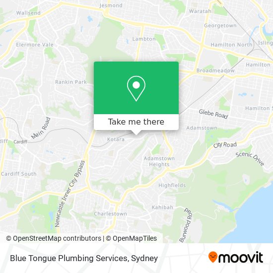 Blue Tongue Plumbing Services map