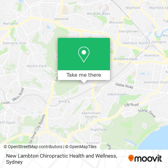 Mapa New Lambton Chiropractic Health and Wellness