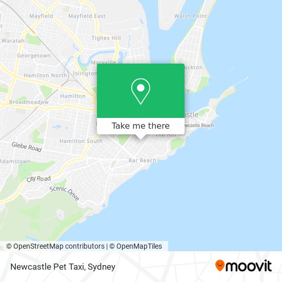 Mapa Newcastle Pet Taxi