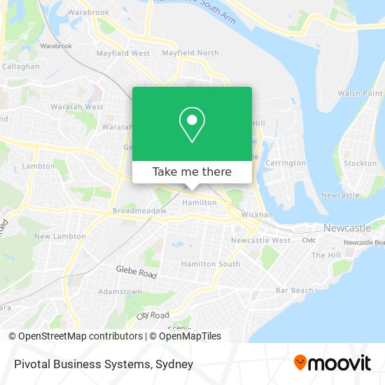 Pivotal Business Systems map