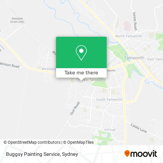 Buggsy Painting Service map