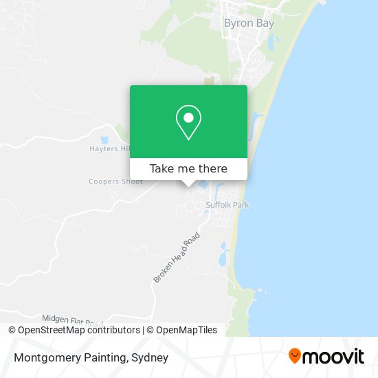 Montgomery Painting map