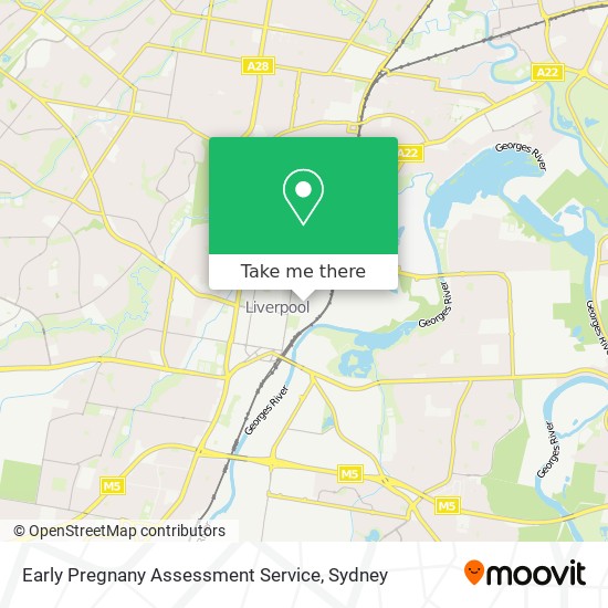 Mapa Early Pregnany Assessment Service