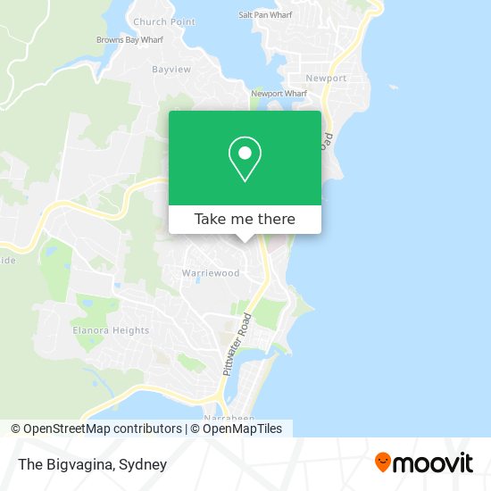 The Bigvagina map